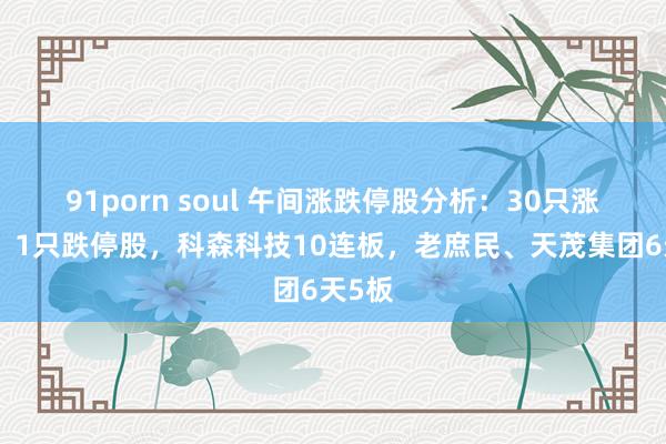 91porn soul 午间涨跌停股分析：30只涨停股、1只跌停股，科森科技10连板，老庶民、天茂集团6天5板