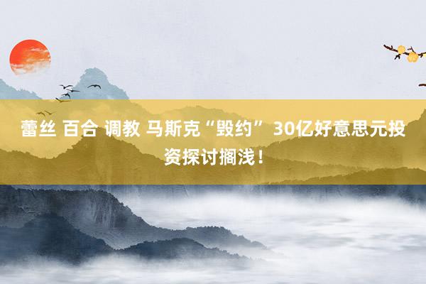 蕾丝 百合 调教 马斯克“毁约” 30亿好意思元投资探讨搁浅！
