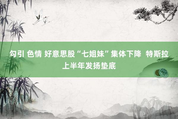 勾引 色情 好意思股“七姐妹”集体下降  特斯拉上半年发扬垫底