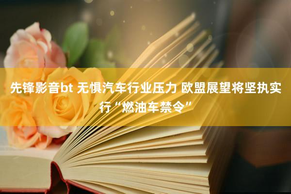 先锋影音bt 无惧汽车行业压力 欧盟展望将坚执实行“燃油车禁令”