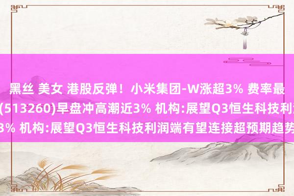 黑丝 美女 港股反弹！小米集团-W涨超3% 费率最低的恒生科技ETF基金(513260)早盘冲高潮近3% 机构:展望Q3恒生科技利润端有望连接超预期趋势