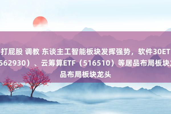 打屁股 调教 东谈主工智能板块发挥强势，软件30ETF（562930）、云筹算ETF（516510）等居品布局板块龙头