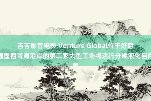 吉吉影音电影 Venture Global位于好意思国墨西哥湾沿岸的第二家大型工场将运行分娩液化自然气