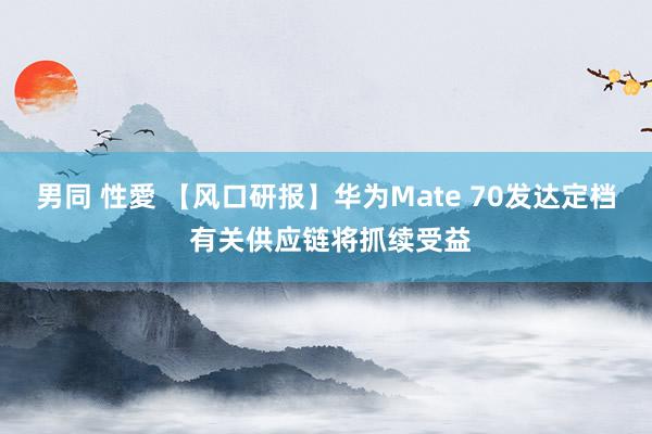 男同 性愛 【风口研报】华为Mate 70发达定档 有关供应链将抓续受益