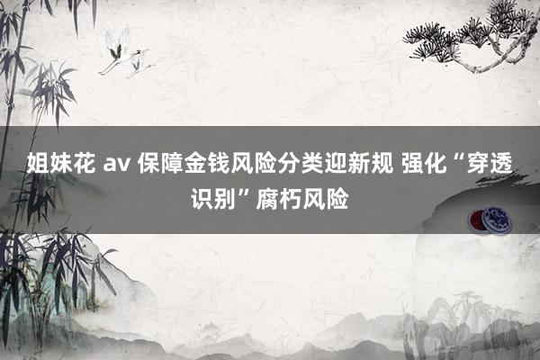 姐妹花 av 保障金钱风险分类迎新规 强化“穿透识别”腐朽风险